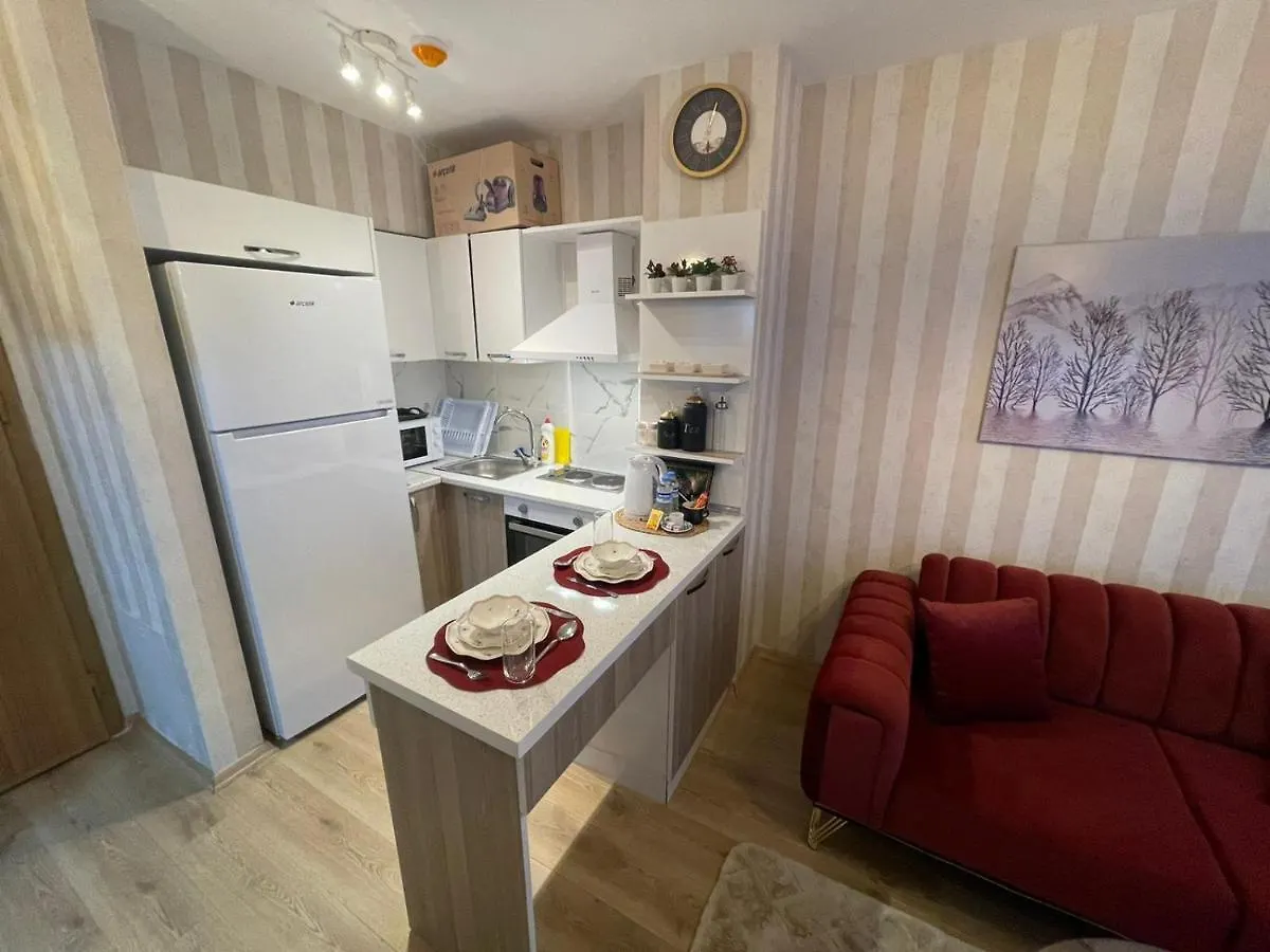 Appartement Classic Suite Ss5 Istanboel