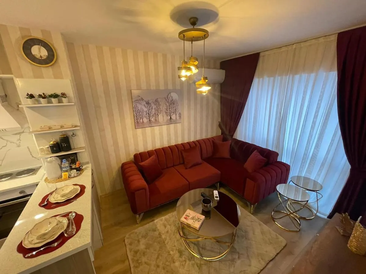 Classic Suite Ss5 Istanbul Lejlighed
