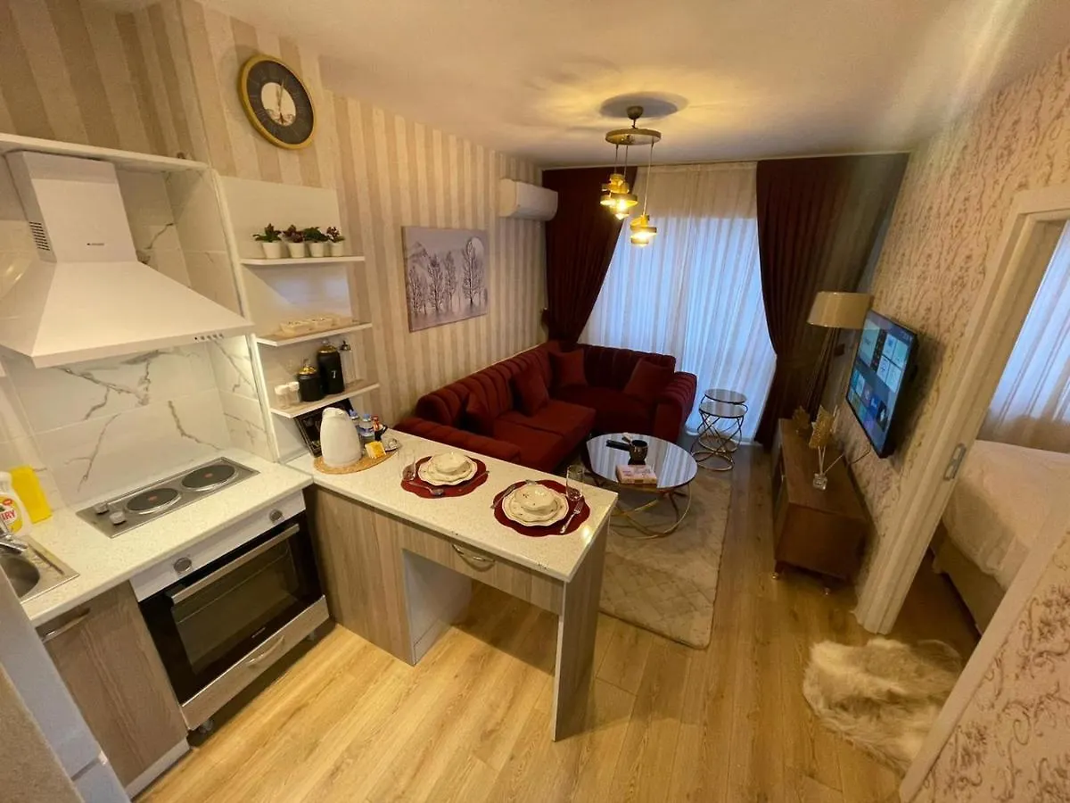 Classic Suite Ss5 Istanboel