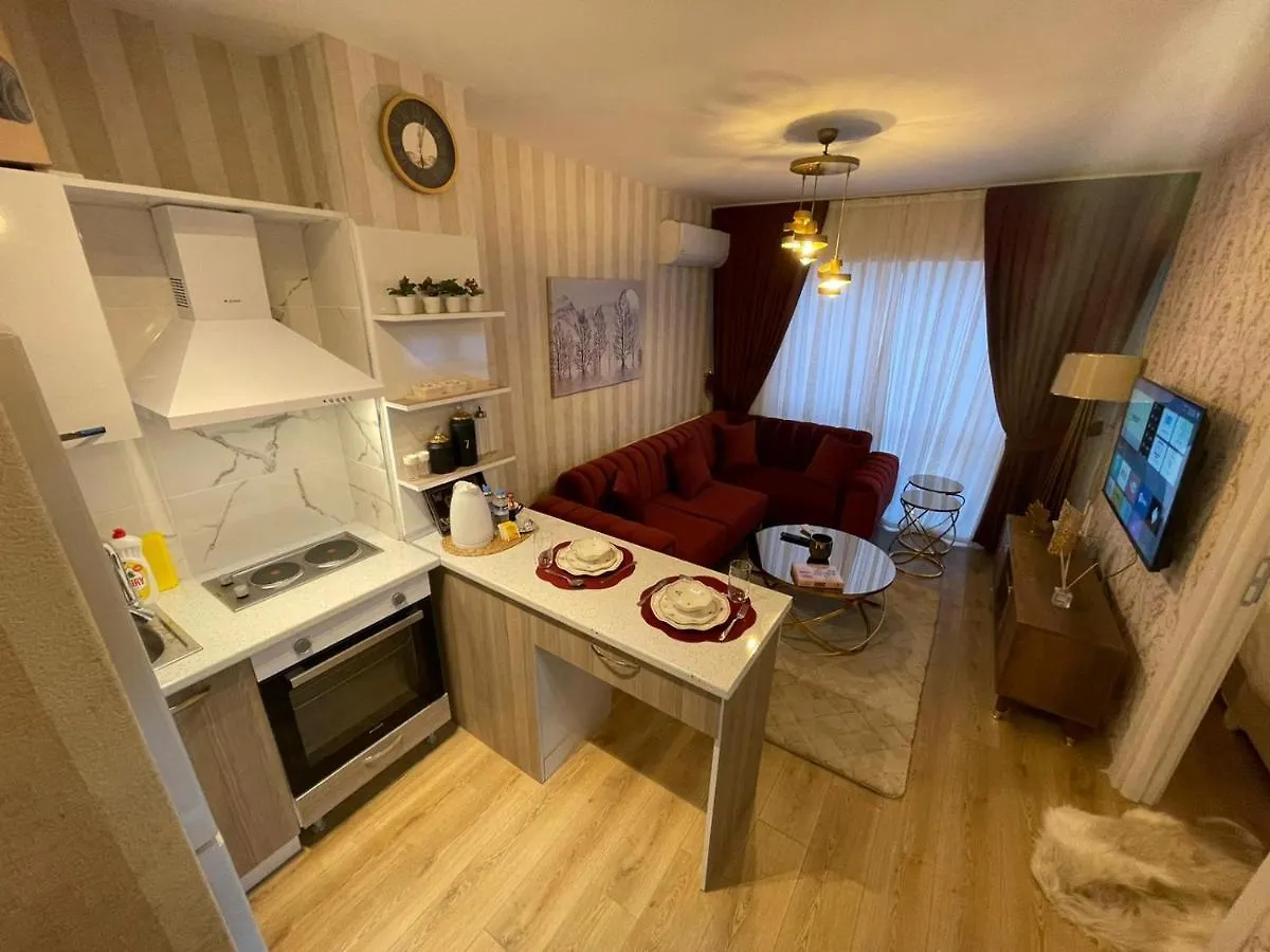 Classic Suite Ss5 Istanbul Tyrkiet